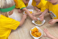 Zdjecie-WhatsApp-2025-10-31-o-16.37.59_63ce377c