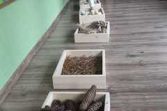 IMG-20250424-WA0339