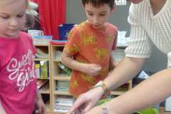 IMG-20250413-WA0191