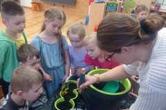 IMG-20250413-WA0201