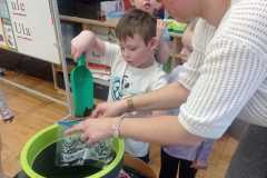 IMG-20250413-WA0209