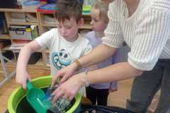 IMG-20250413-WA0210