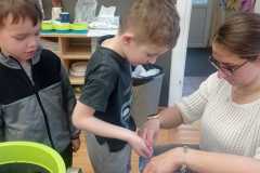 IMG-20250413-WA0214