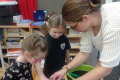 IMG-20250413-WA0215