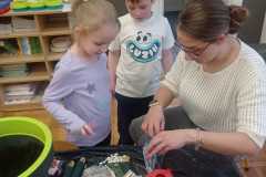IMG-20250413-WA0217