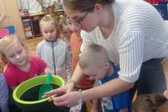 IMG-20250413-WA0223