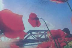 IMG-20250421-WA0104