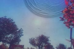 IMG-20250421-WA0131