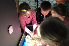 IMG-20250413-WA0258