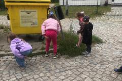 IMG-20250923-WA0020