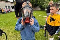 IMG-20250615-WA0243