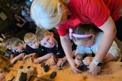 IMG-20250605-WA0077
