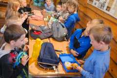 IMG-20250605-WA0104