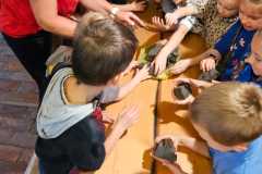 IMG-20250605-WA0105