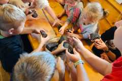 IMG-20250605-WA0106