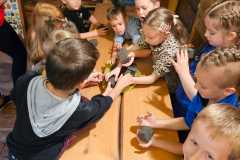IMG-20250605-WA0108