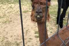 IMG-20250626-WA0126