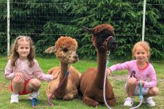 IMG-20250626-WA0146