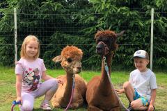 IMG-20250626-WA0153