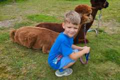 IMG-20250626-WA0013
