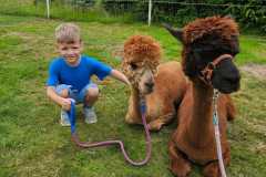 IMG-20250626-WA0014