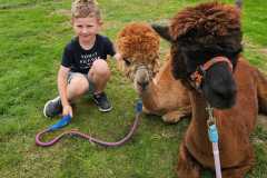 IMG-20250626-WA0015