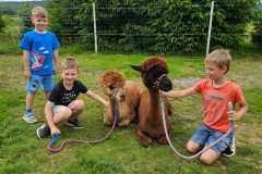 IMG-20250626-WA0017