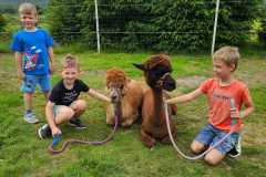 IMG-20250626-WA0018