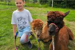 IMG-20250626-WA0019
