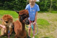 IMG-20250626-WA0020