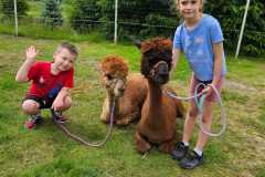 IMG-20250626-WA0022