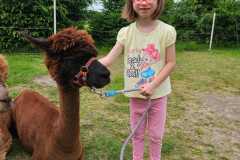 IMG-20250626-WA0025