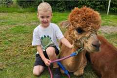 IMG-20250626-WA0026
