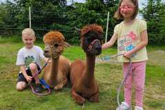 IMG-20250626-WA0027