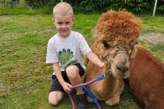 IMG-20250626-WA0028