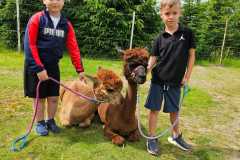 IMG-20250626-WA0029