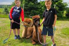 IMG-20250626-WA0030