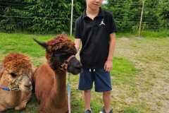 IMG-20250626-WA0031
