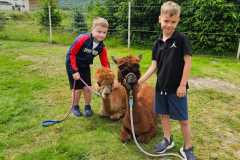 IMG-20250626-WA0034