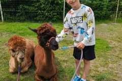 IMG-20250626-WA0035