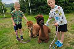 IMG-20250626-WA0036