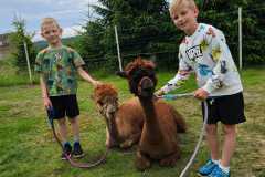 IMG-20250626-WA0037