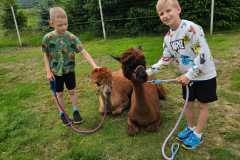 IMG-20250626-WA0039