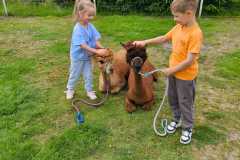 IMG-20250626-WA0040