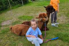 IMG-20250626-WA0041