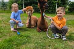 IMG-20250626-WA0042