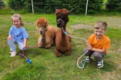 IMG-20250626-WA0044