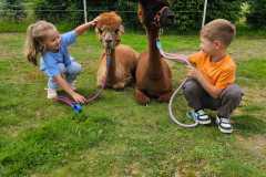 IMG-20250626-WA0045