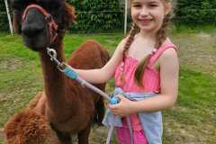 IMG-20250626-WA0046