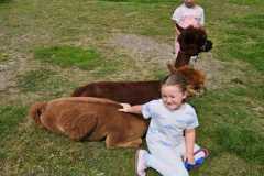 IMG-20250626-WA0049
